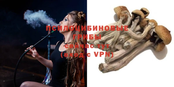 соль ск Елизово