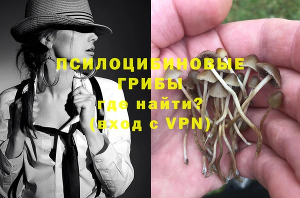 ALPHA-PVP Ельня