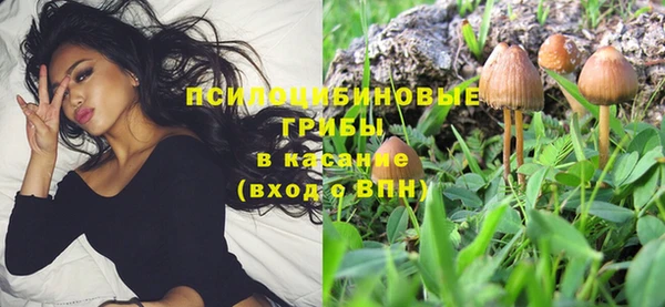 ALPHA-PVP Ельня