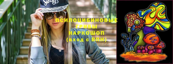 соль ск Елизово