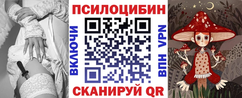 Псилоцибиновые грибы прущие грибы  Зубцов 